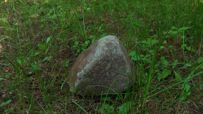 Камень в лесу