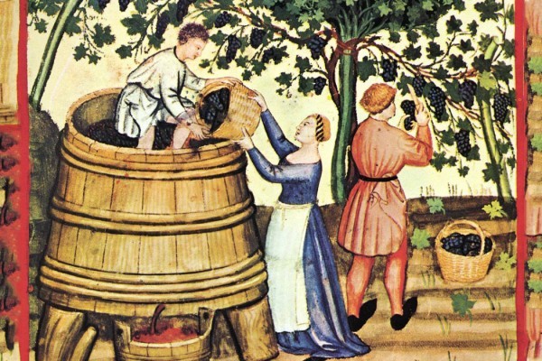 історія вина