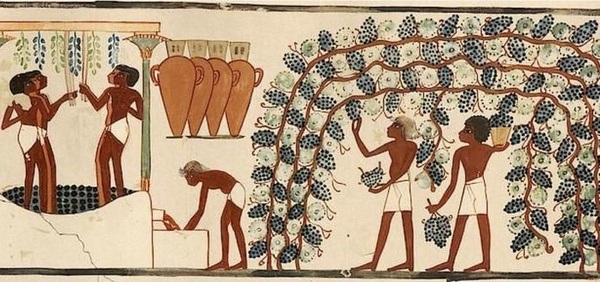Вино в стародавньому Єгипті